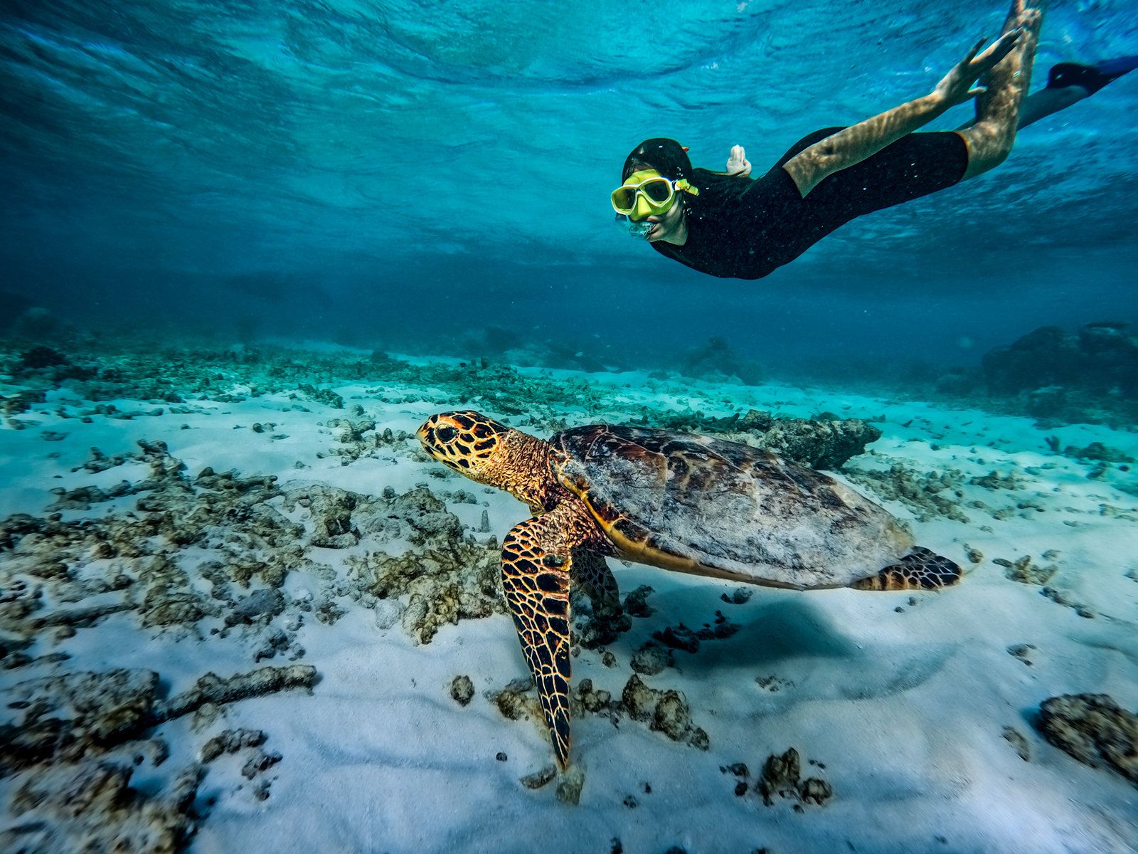Diving