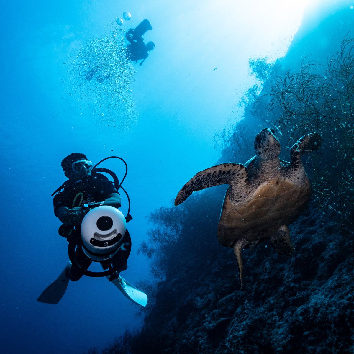 Diving