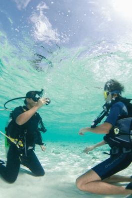 Diving