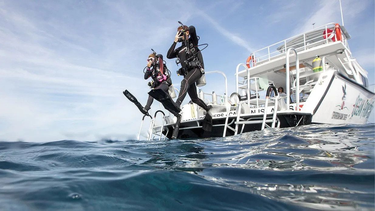 A Diver's Paradise