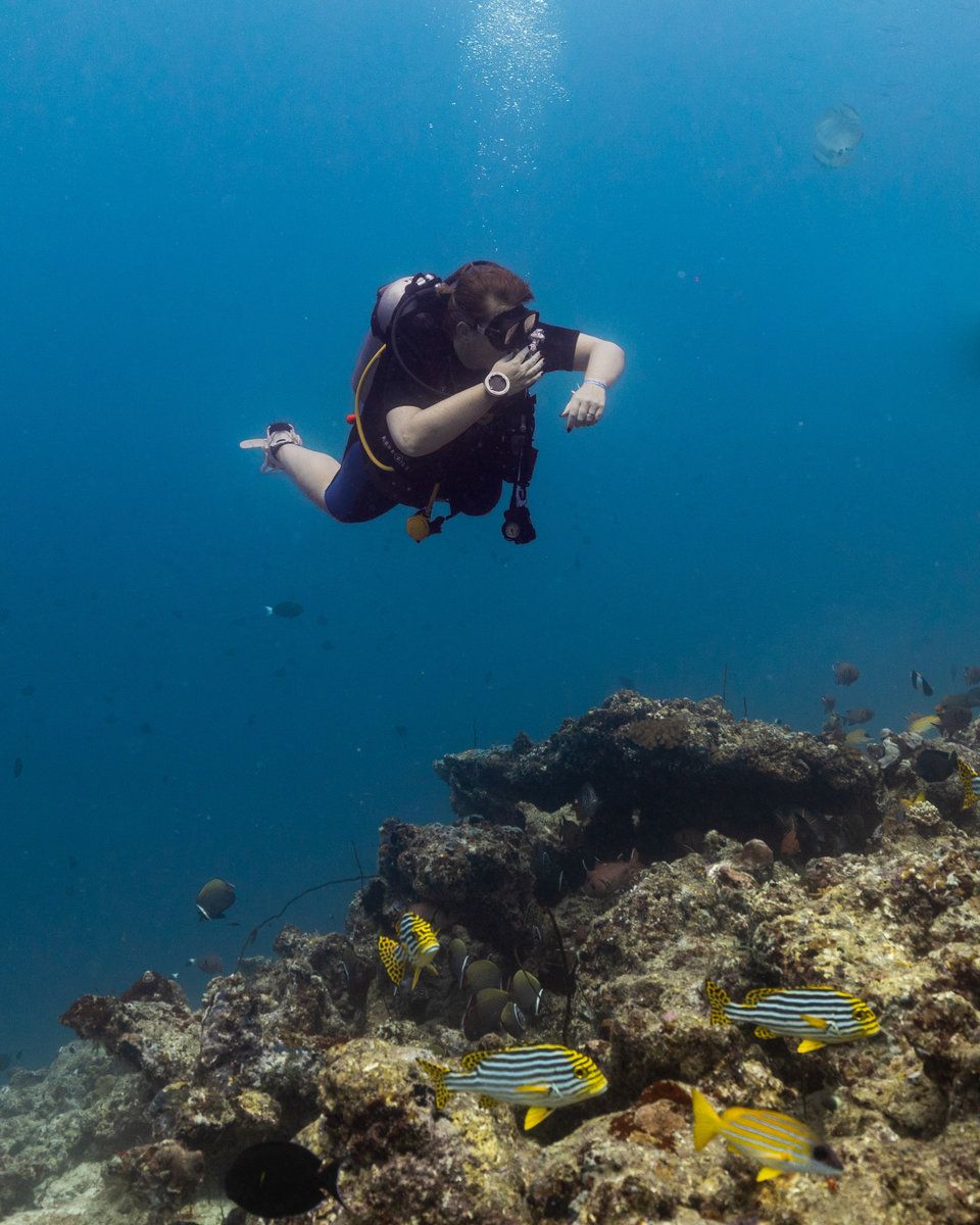 Diving