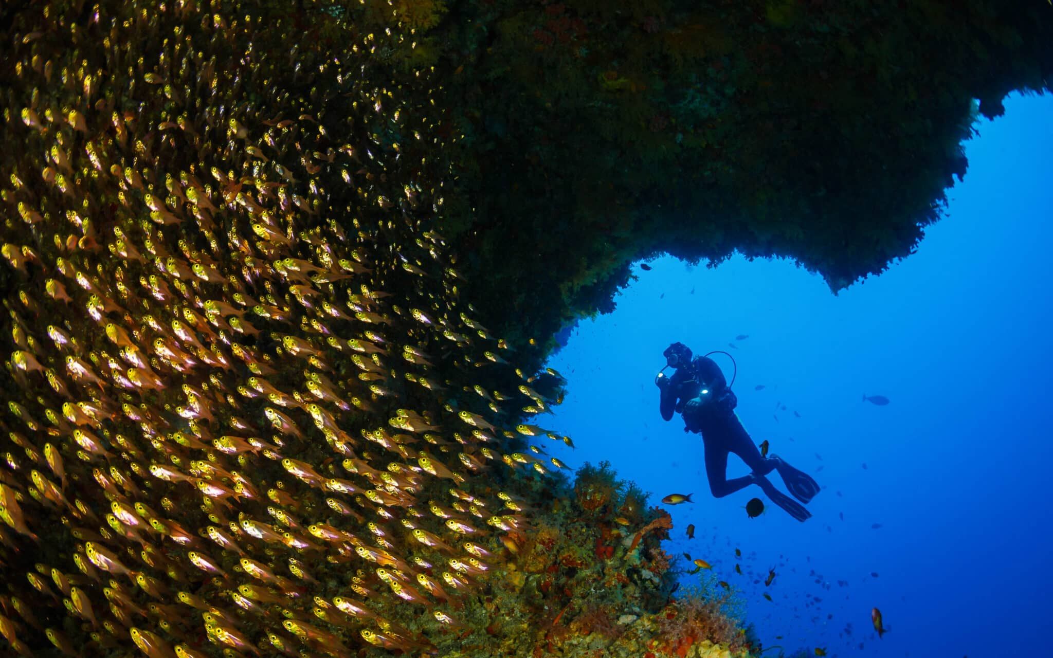 DIVING