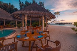 Grouper Grill