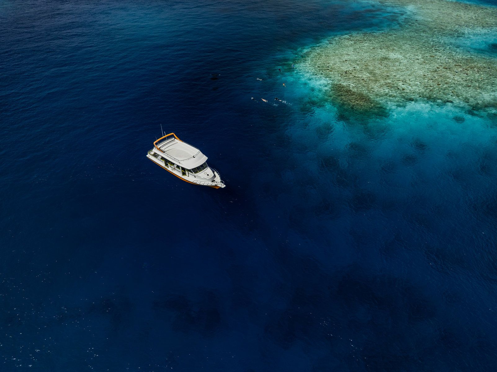 Snorkeling excursion