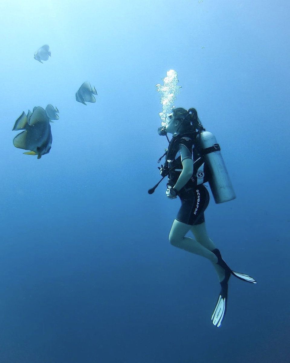 Diving