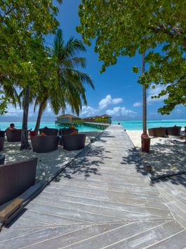 PAVILION BAR