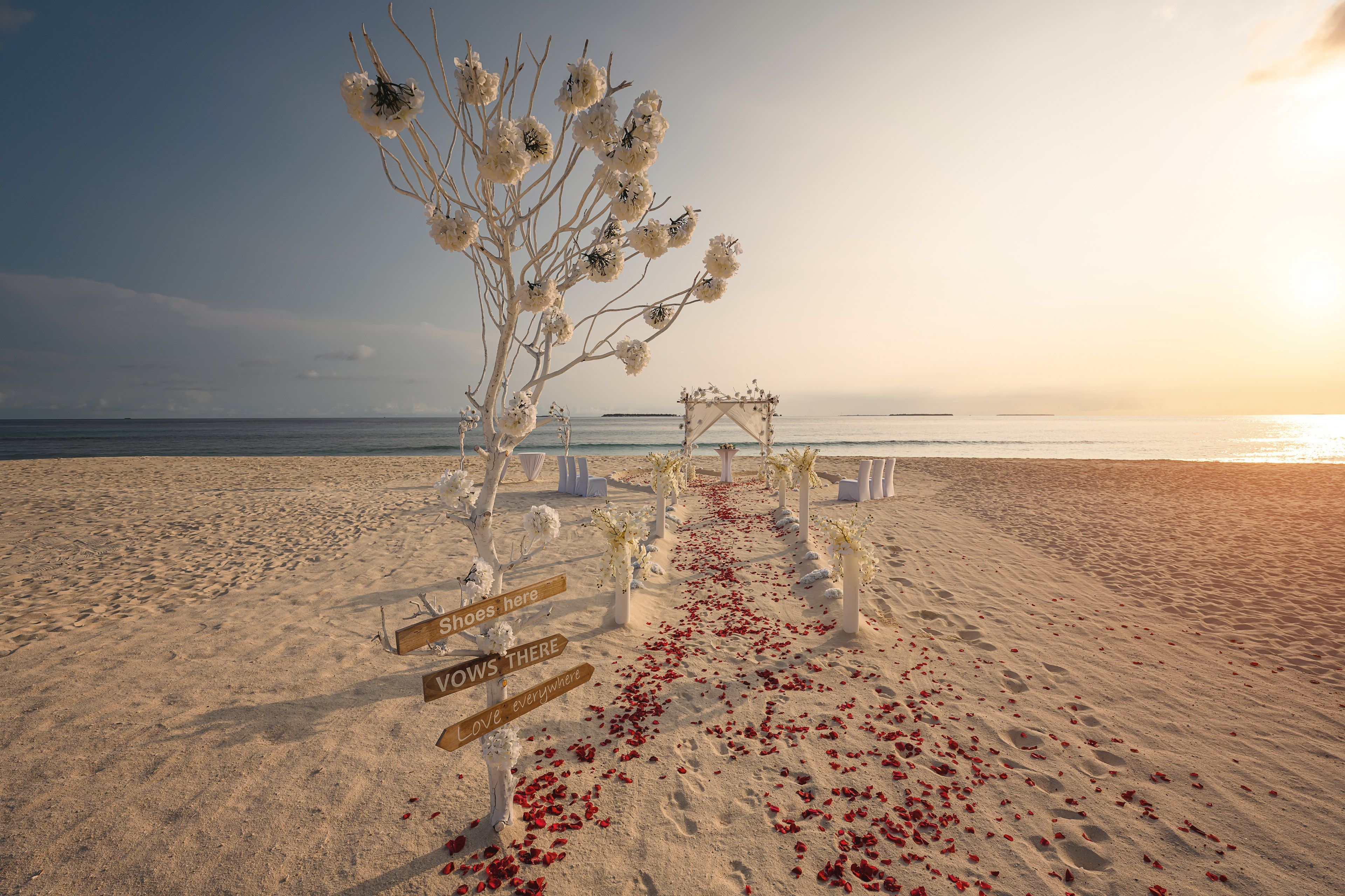 Wedding Celebrations