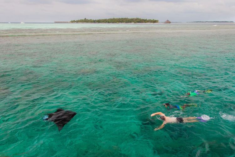 Vilamendhoo Island Resort and Spa