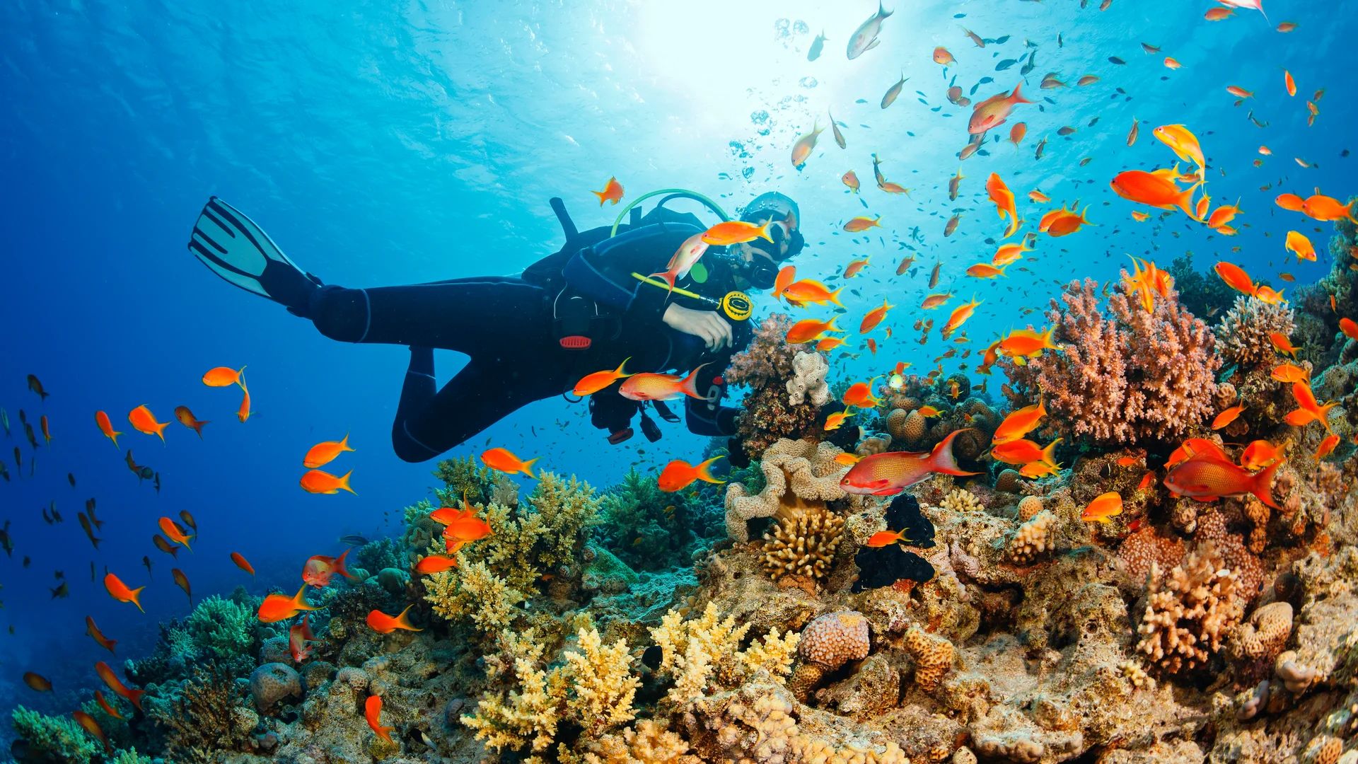 Diving