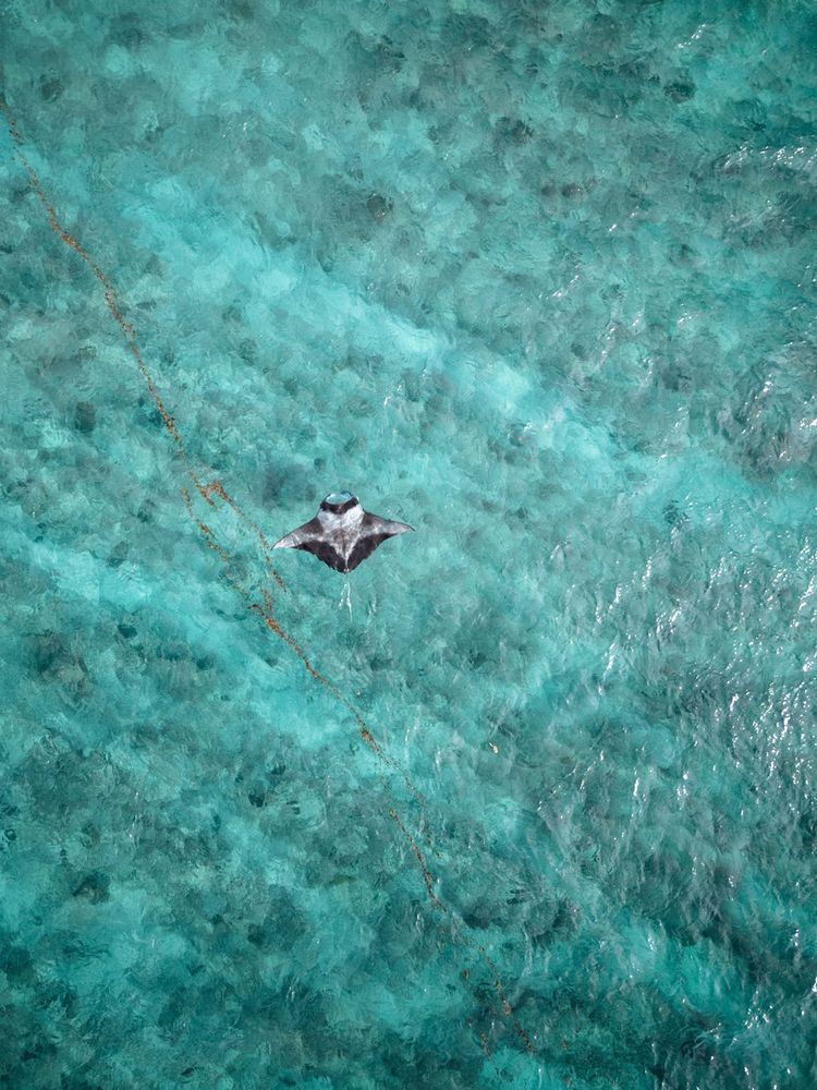 Cinnamon Hakuraa Huraa Maldives