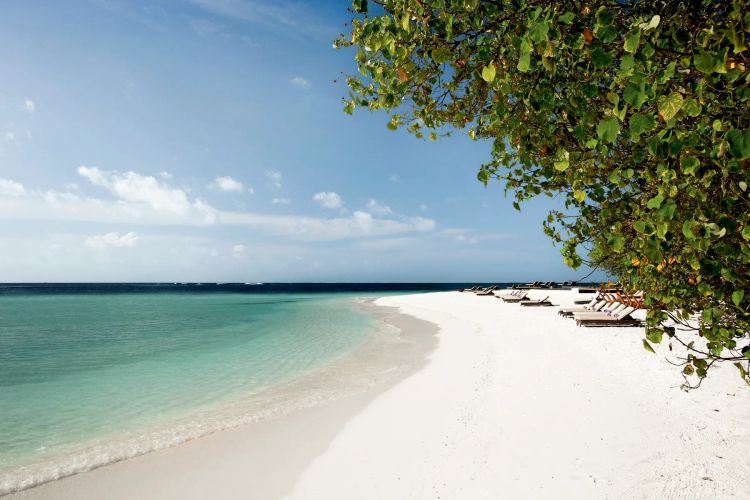 Constance Moofushi