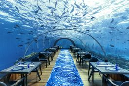 5.8 UNDERSEA RESTAURANT