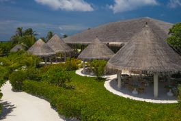 Octopus Restaurant