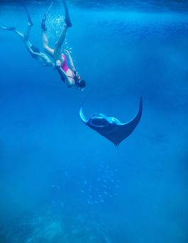 Diving
