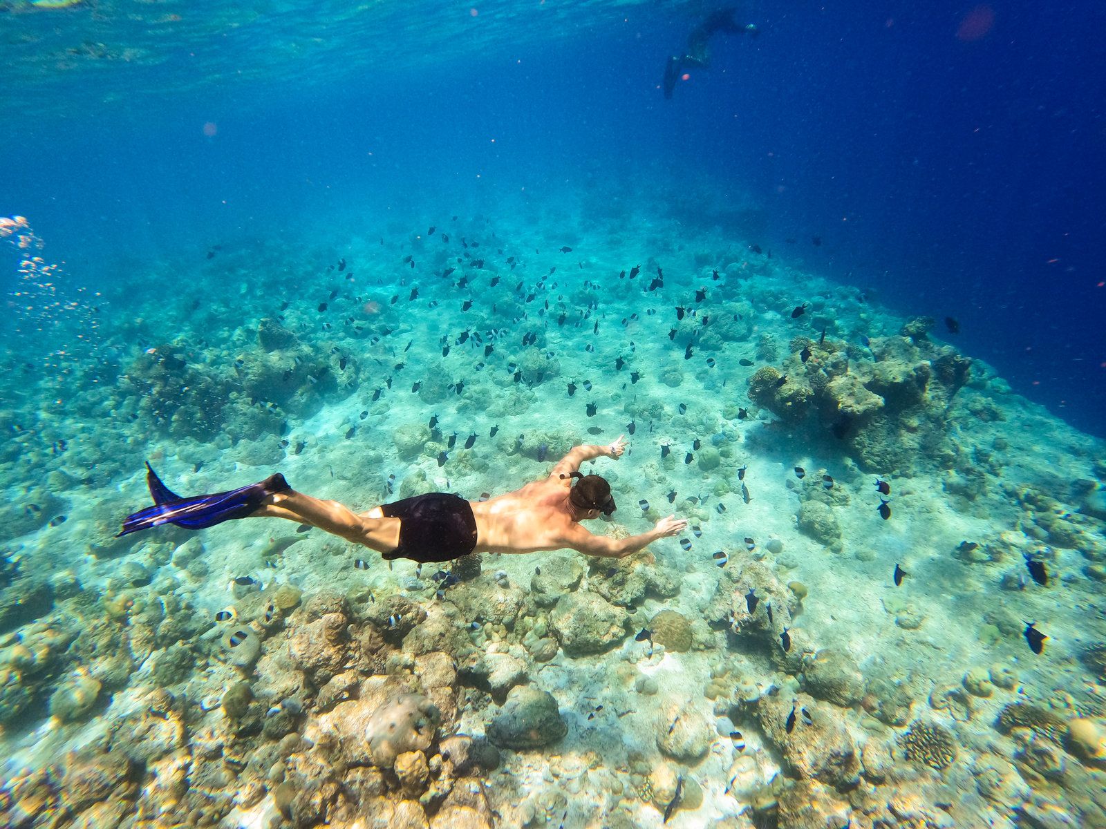 Snorkel