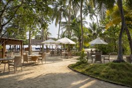 Island Coffee Shop
