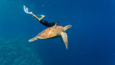 Veligandu Island Resort & Spa