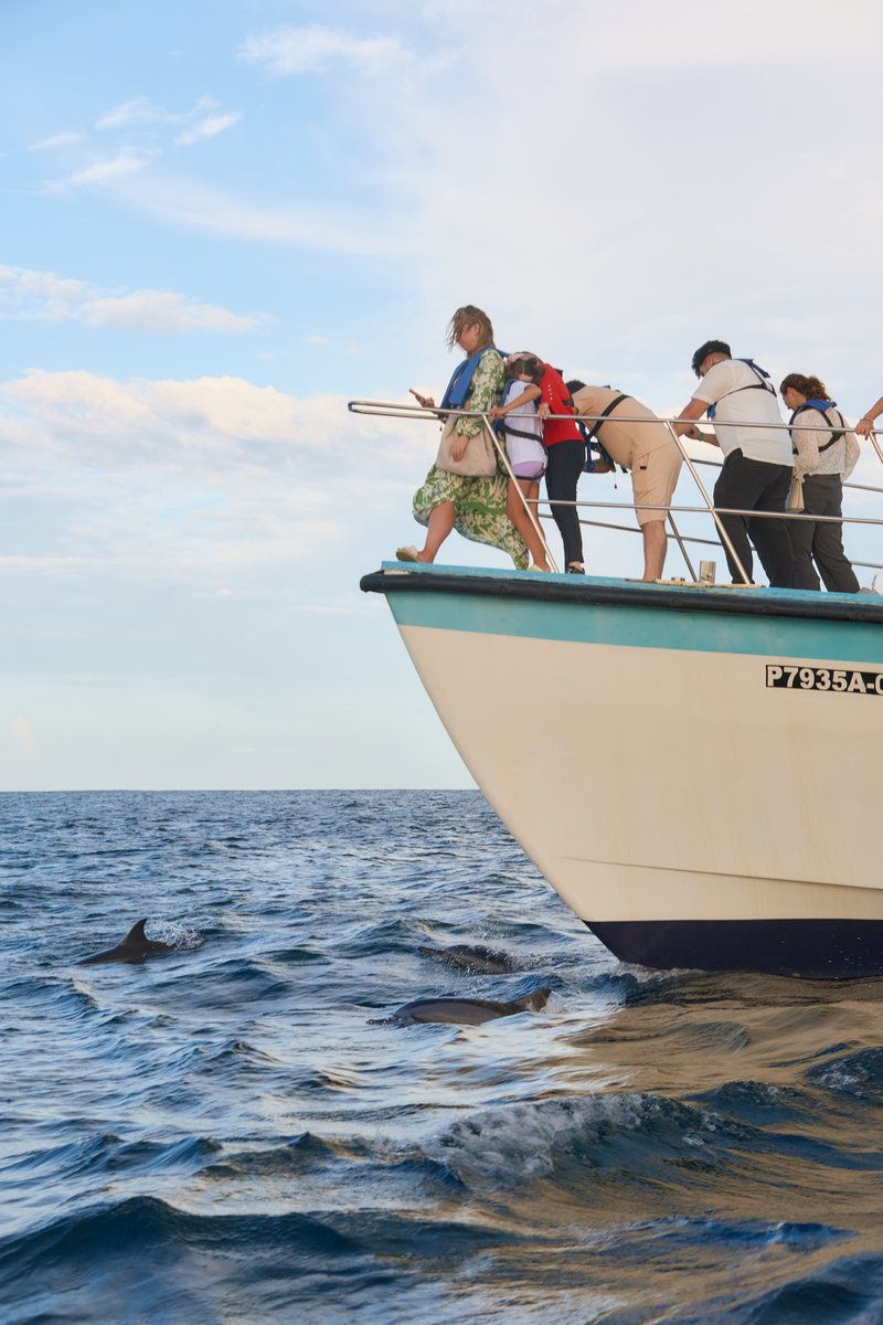Private Dolphin Watching