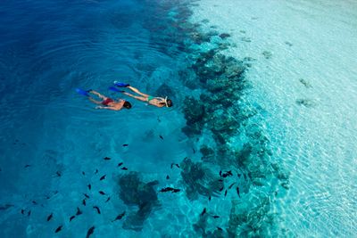 Snorkelling