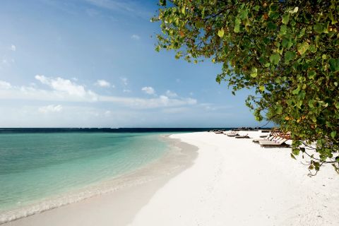 Constance Moofushi