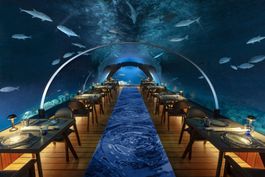 5.8 UNDERSEA RESTAURANT