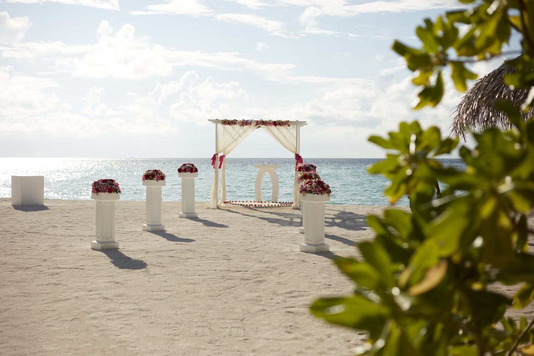 Weddings & Celebrations