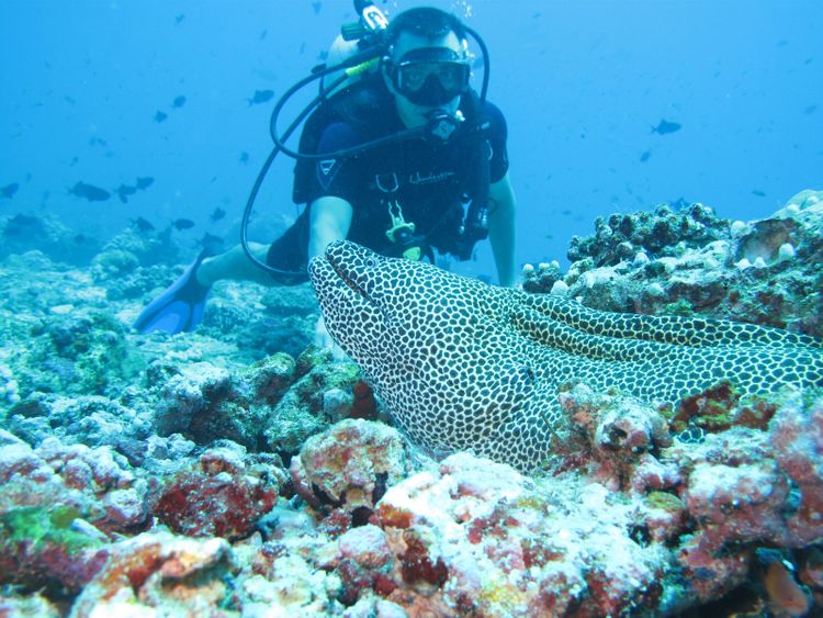 Kurumba Maldives