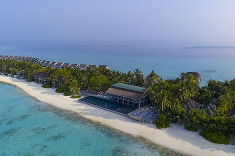 Niva Kuramathi Maldives