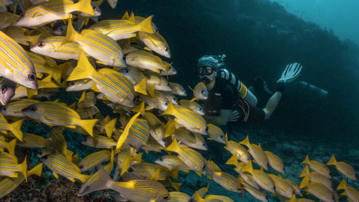Scuba Diving