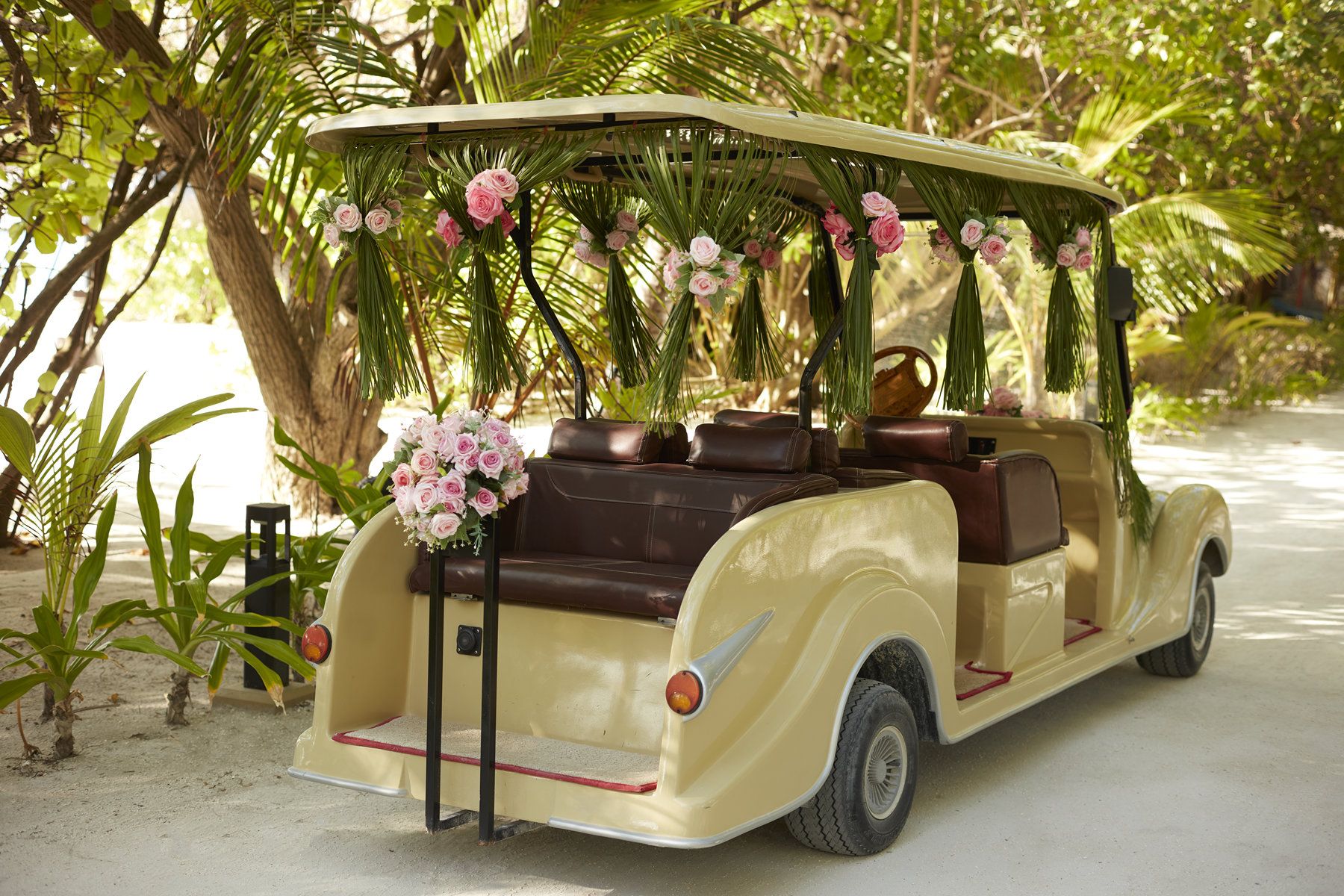 Weddings & Celebrations
