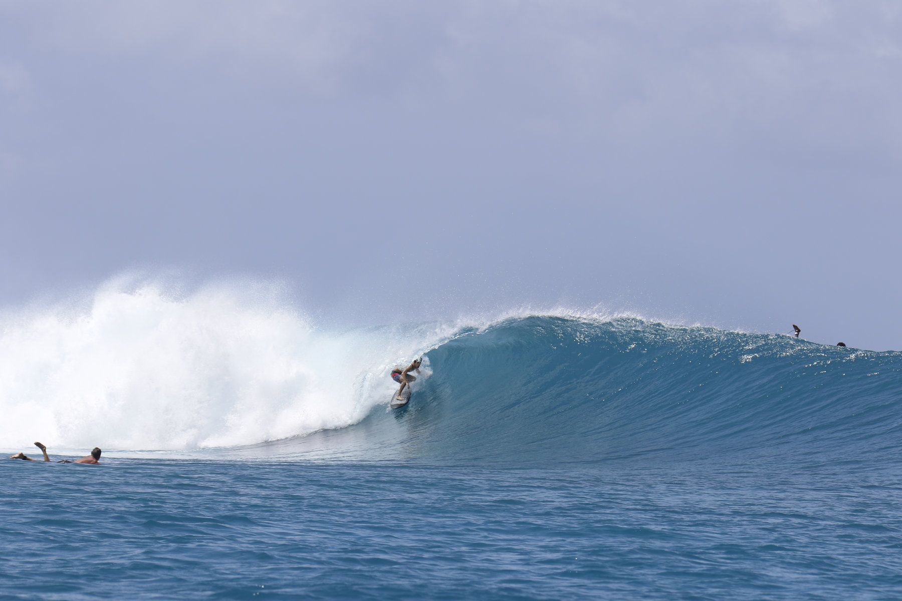 Surfing