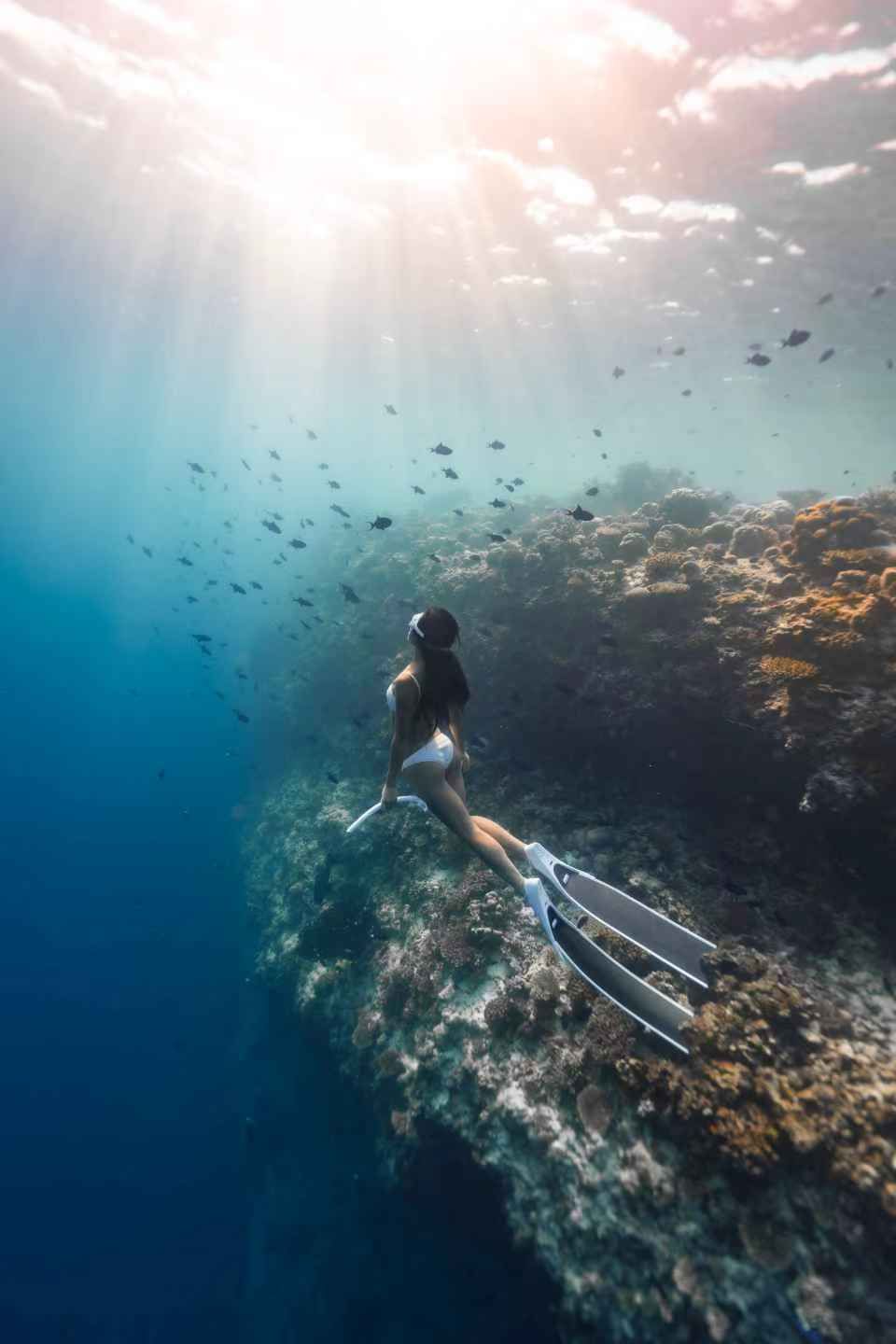 Diving