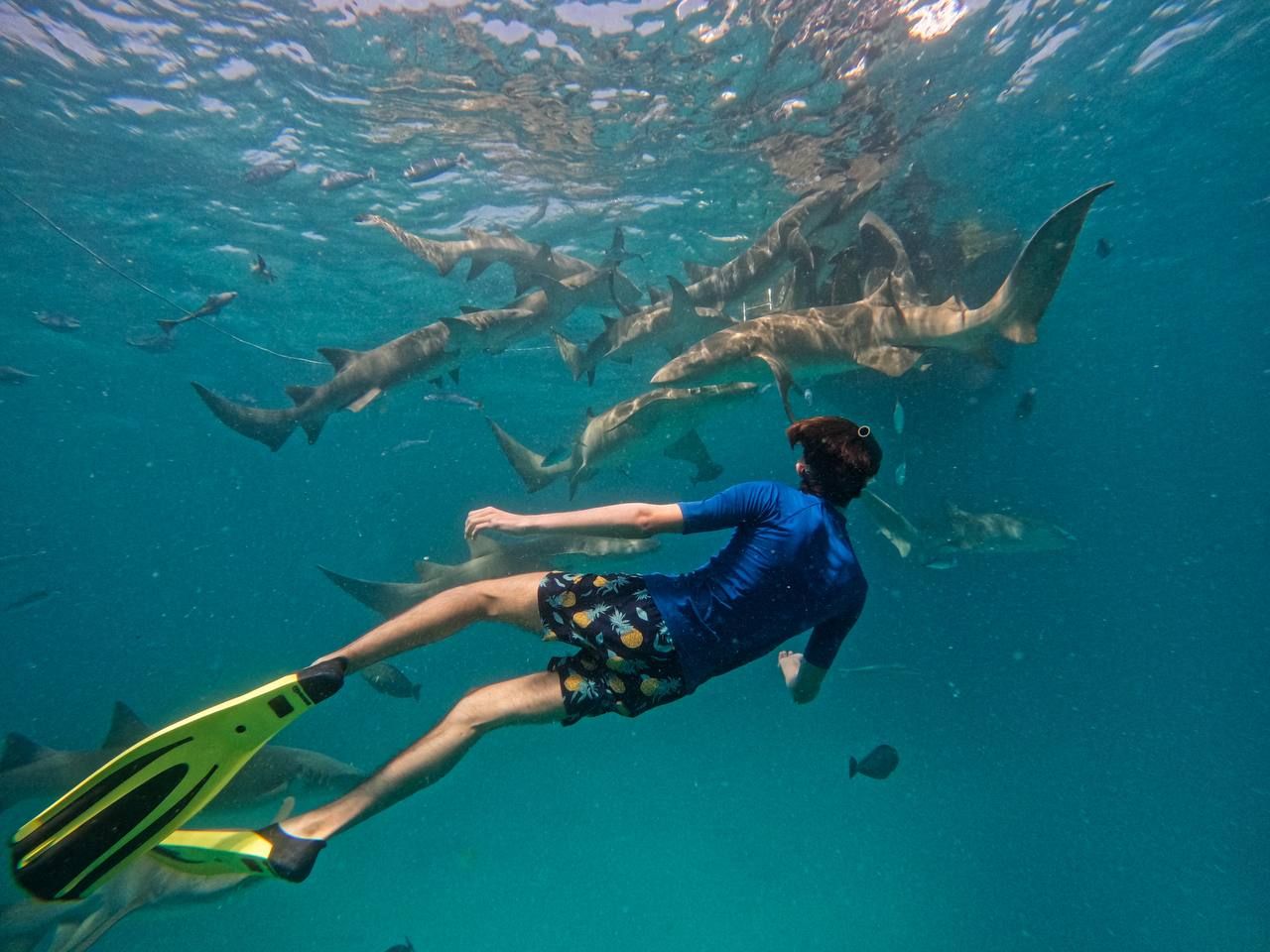 Diving