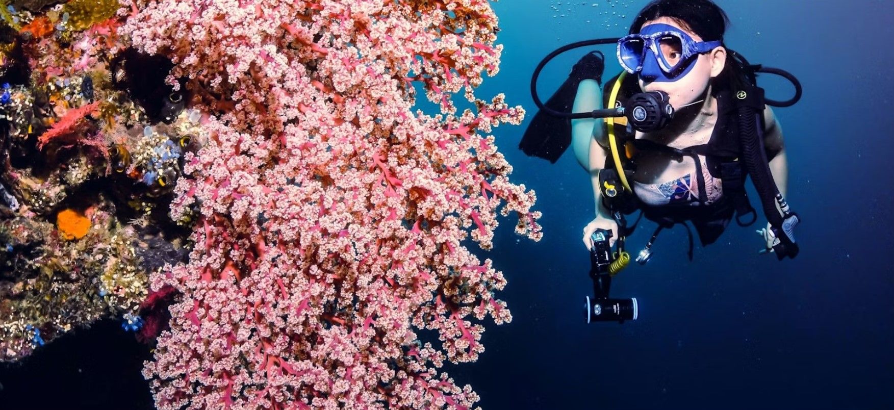 Diving