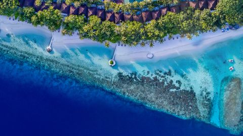 Lily Beach Resort and Spa