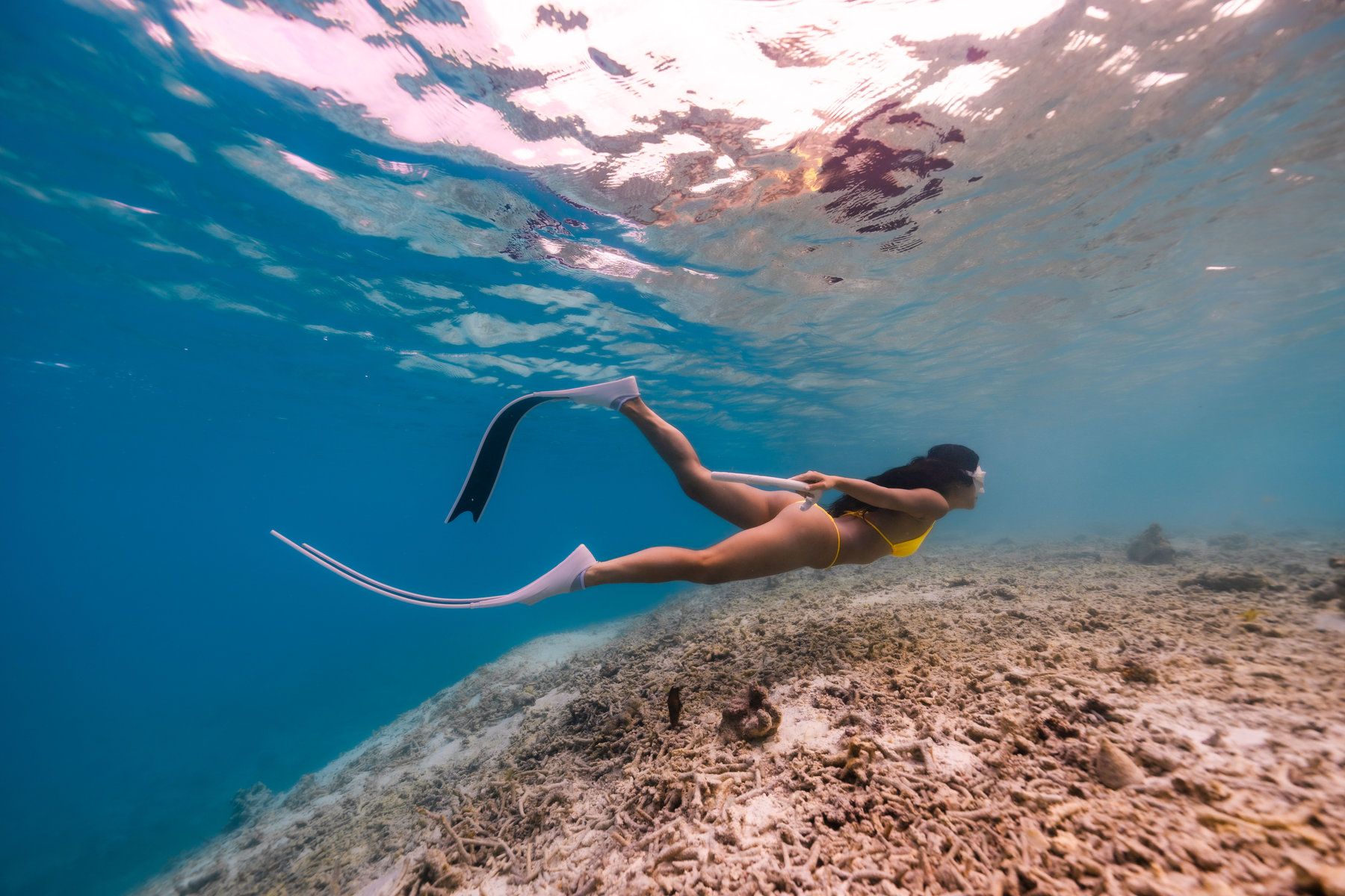 Manta Snorkelling
