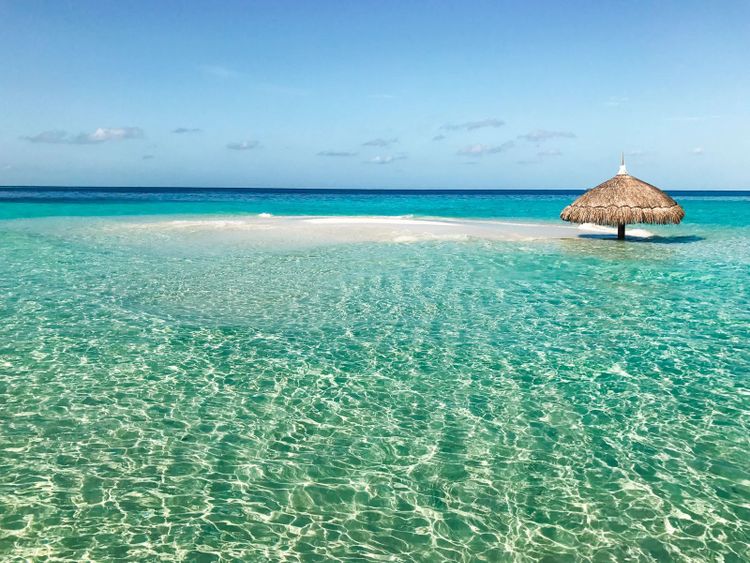 Constance Moofushi