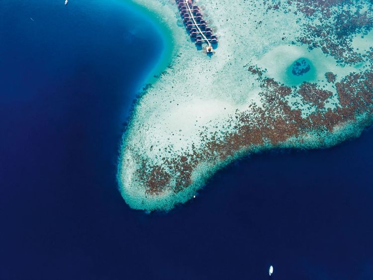Constance Moofushi